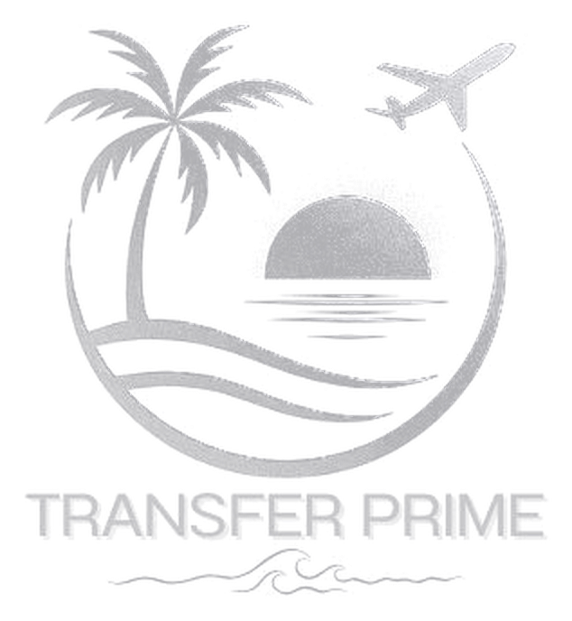 Logo Transfer Prime: coqueiro, sol e avião sobre o mar